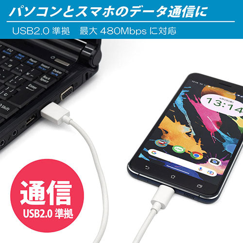 日本トラストテクノロジー Type-Cケーブル1m ホワイト JTUC10-WH