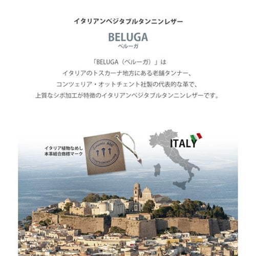 abbi SIGNATURE BELUGA イタリアンレザーダイアリーケース for iPhone 13 Pro ブラック ABS21812i13PBK