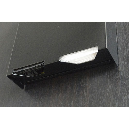 日東 マグネット式ダブルマスクストッカー ブラック DMS-BK