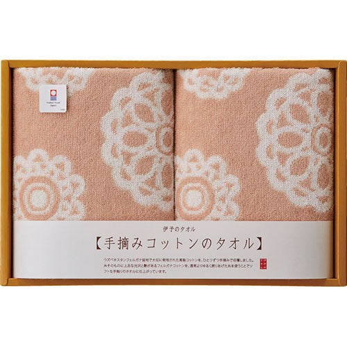 今治タオル 手摘みコットン ウォッシュタオル2P B8043579