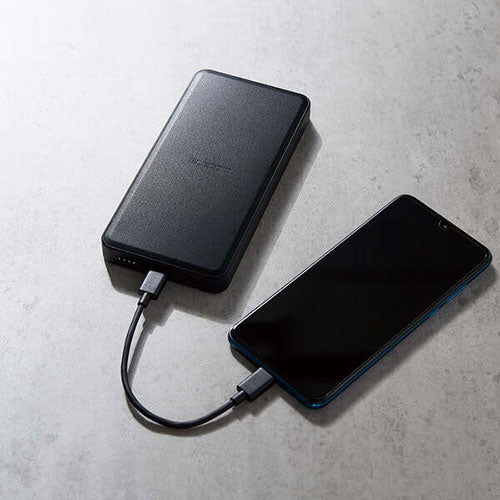 エレコム リン酸鉄モバイルバッテリー/12000mAh/USB Power Delivery/20W出力/USB-A出力1ポート/USB-C入出力1ポート/ブラック DE-C39-12000BK
