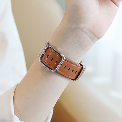 EGARDEN スクエアバックル本革バンド for Apple Watch 41/40/38mm ブラウン EG24864AWBR
