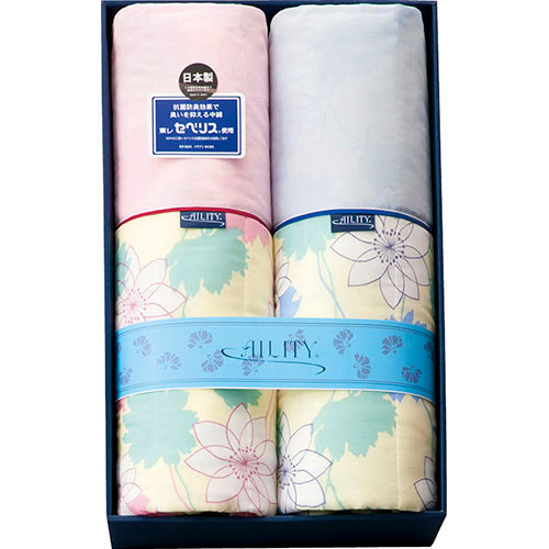 AILITY 東レ抗菌防臭わた(セベリス)入り キルト肌掛ふとん2P B8159635