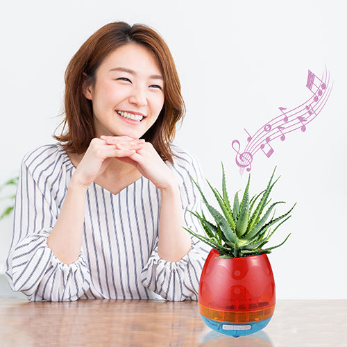 キヨラカ 葉が奏でる・音と緑の癒し「スマートフラワーポット」 HO-F01