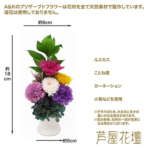 A&K 仏花シリーズ 新しい形のプリザーブドフラワー 紫苑-Shion- AKF-073