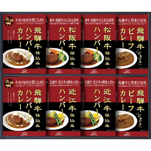 飛騨高山ファクトリー 松阪牛・近江牛・飛騨牛仕込みハンバーグ&カレー詰合せ C4201625