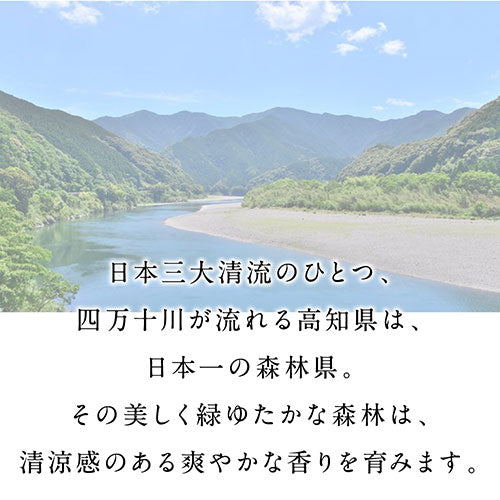 ひのき屋 四万十川の"ひのき"から抽出した天然香油 四万十ひのきスプレー 風樹 hinokiya-oi0230