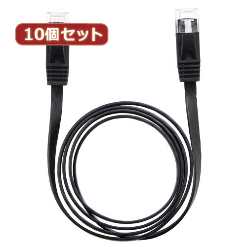 10個セット LANケーブル フラット CAT6 1m 黒 AS-CAPC001X10