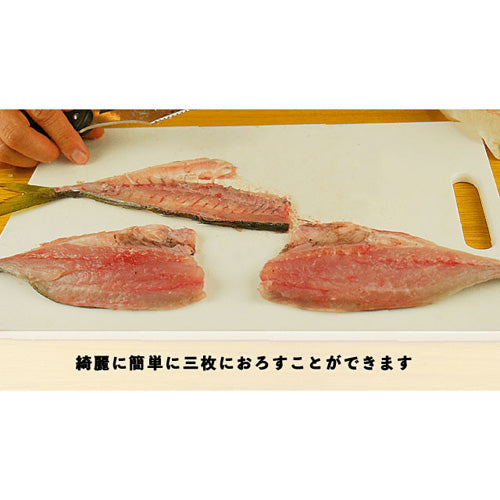 サカナイフ シャープナーセット (さばき方説明用DVD付き) +サカナイフ専用ホルダー TAP77436+TAP76675