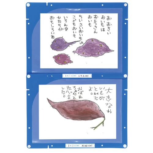 【50個セット】ARTEC 縦横連結掲示ホルダー A4 ATC3614X50