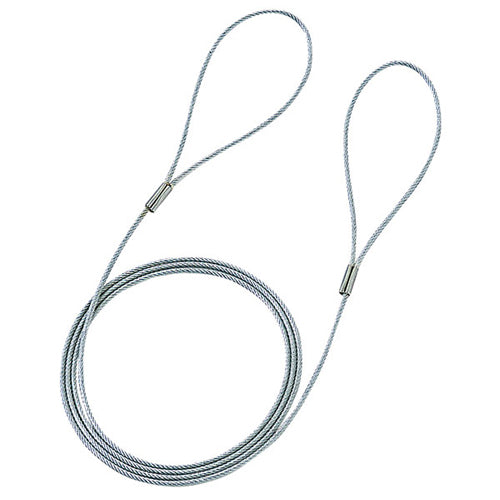 【10個セット】 サンワサプライ eセキュリティ(ワイヤー、1.0m・1.6mm) SLE-3WX10
