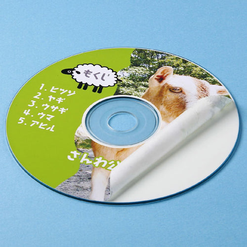 【10個セット】 サンワサプライ インクジェットDVD/CDラベル(つやなしマット) LB-CDR001NX10