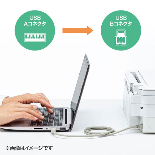 【5個セット】 サンワサプライ USB2.0ケーブル 0.3m KU20-03HK2X5