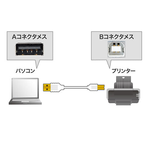【5個セット】 サンワサプライ 極細USBケーブル (USB2.0 A-Bタイプ) 0.5m ホワイト KU20-SL05WKX5