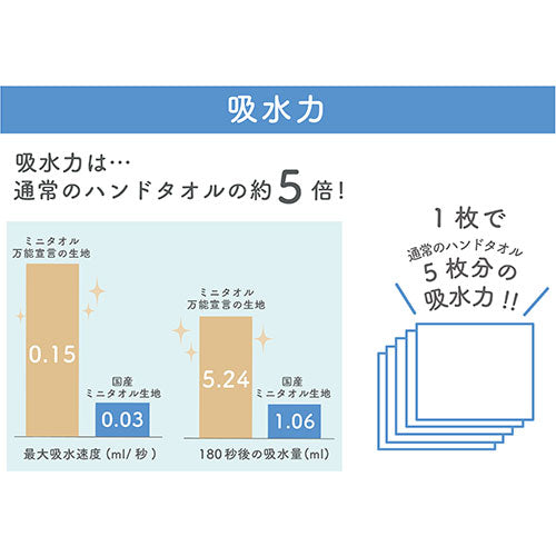 本多タオル ミニタオル万能宣言 おぼろタオル ハンドタオル2枚組　ガーリー系 BN-GIR