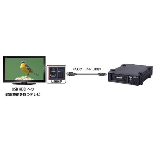 ラトックシステム USB3.0/eSATA リムーバブルケース (外付け1ベイ) SA3-DK1-EU3Z