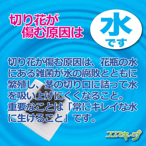 後藤 生け花イキイキ ココスキープ(12個入) 870329