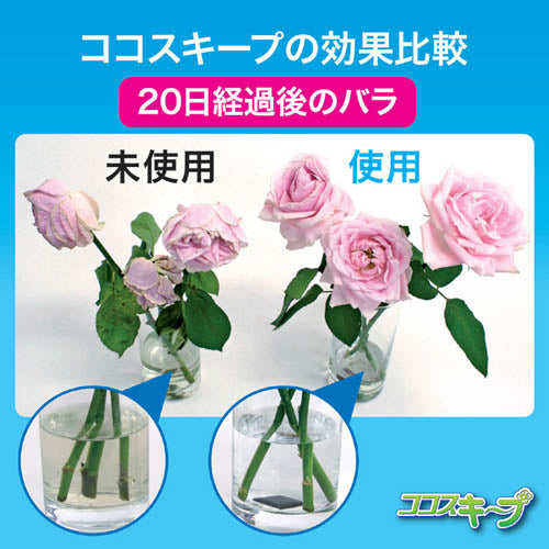 後藤 生け花イキイキ ココスキープ(12個入) 870329