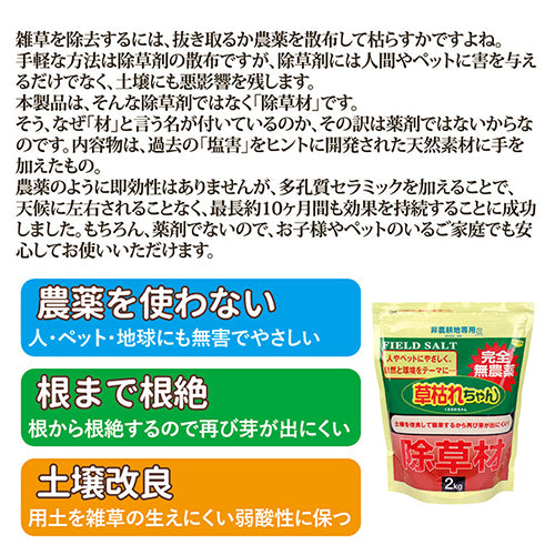 後藤 除草材「草枯れちゃん」2kg 8703691