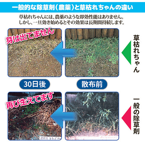 後藤 除草材「草枯れちゃん」2kg 8703691