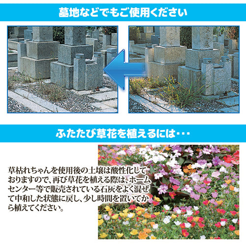 後藤 除草材「草枯れちゃん」2kg 8703691