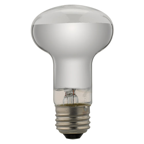YAZAWA 長寿命レフ電球 RF100110V38WL