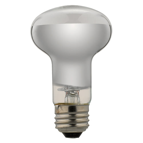 YAZAWA 長寿命レフ電球 RF100110V57WL