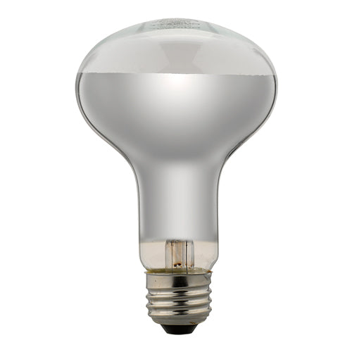 YAZAWA 長寿命レフ電球 RF100110V90WL