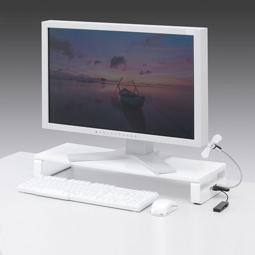 サンワサプライ USBハブ付き机上液晶モニタースタンド MR-LC201HWN