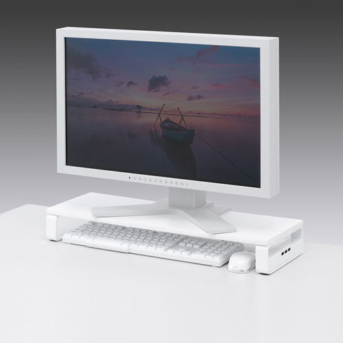 サンワサプライ USBハブ付き机上液晶モニタースタンド MR-LC201HWN