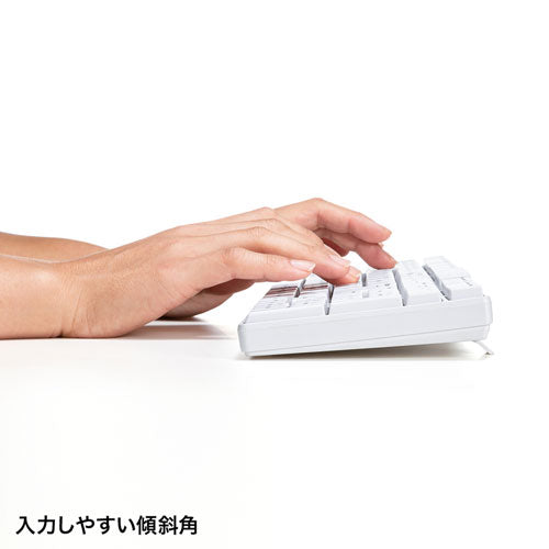 サンワサプライ マウス付きワイヤレスキーボード SKB-WL34SETW