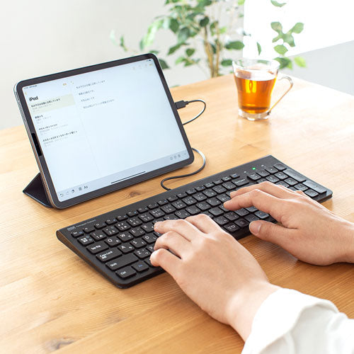 サンワサプライ USB Type-Cスリムキーボード SKB-SL31CBK