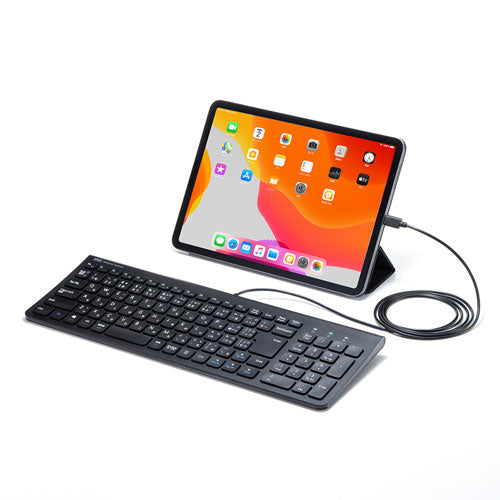 サンワサプライ USB Type-Cスリムキーボード SKB-SL31CBK