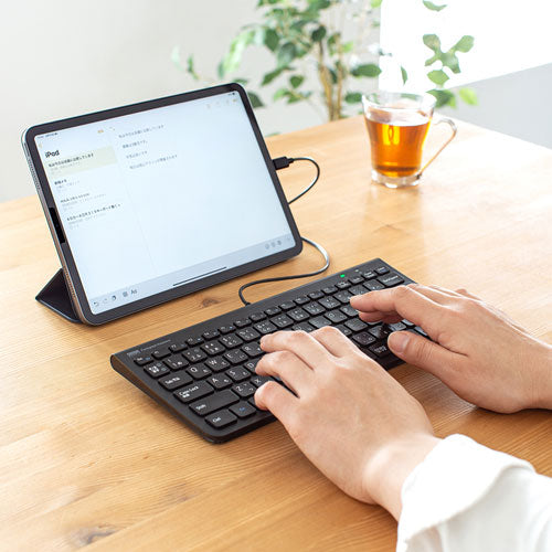 サンワサプライ USB Type-Cスリムキーボード SKB-SL32CBK