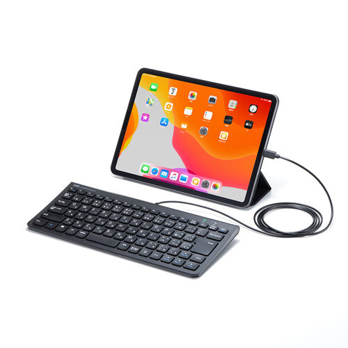 サンワサプライ USB Type-Cスリムキーボード SKB-SL32CBK