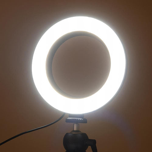 エツミ LEDリングライト 6インチ VE-2253