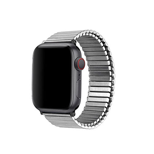 TF7 メタルストレッチバンド for Apple Watch 41/40/38mm Lサイズ シルバー TF21SV40L